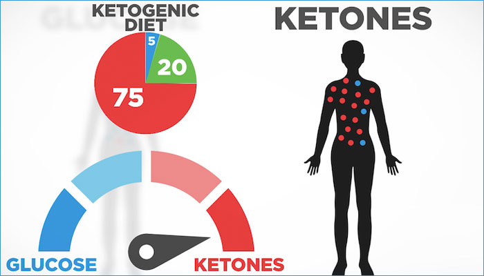 what is Ketosis