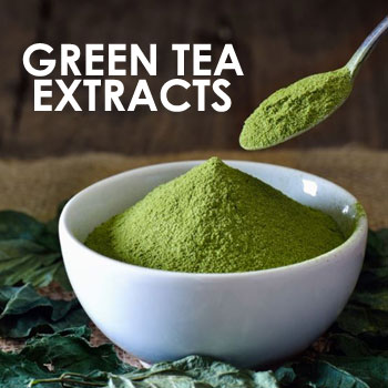 Green Tea Supplements