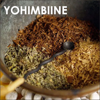 Yohimbine extracts supplements